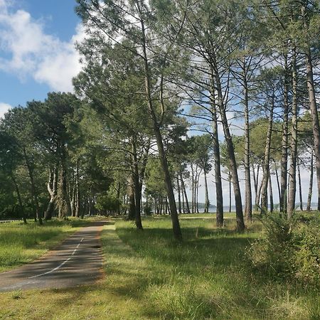 Appartements Au Coeur Du Golf, Proche Du Lac Et Velodyssee Biscarrosse Exteriör bild