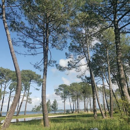 Appartements Au Coeur Du Golf, Proche Du Lac Et Velodyssee Biscarrosse Exteriör bild