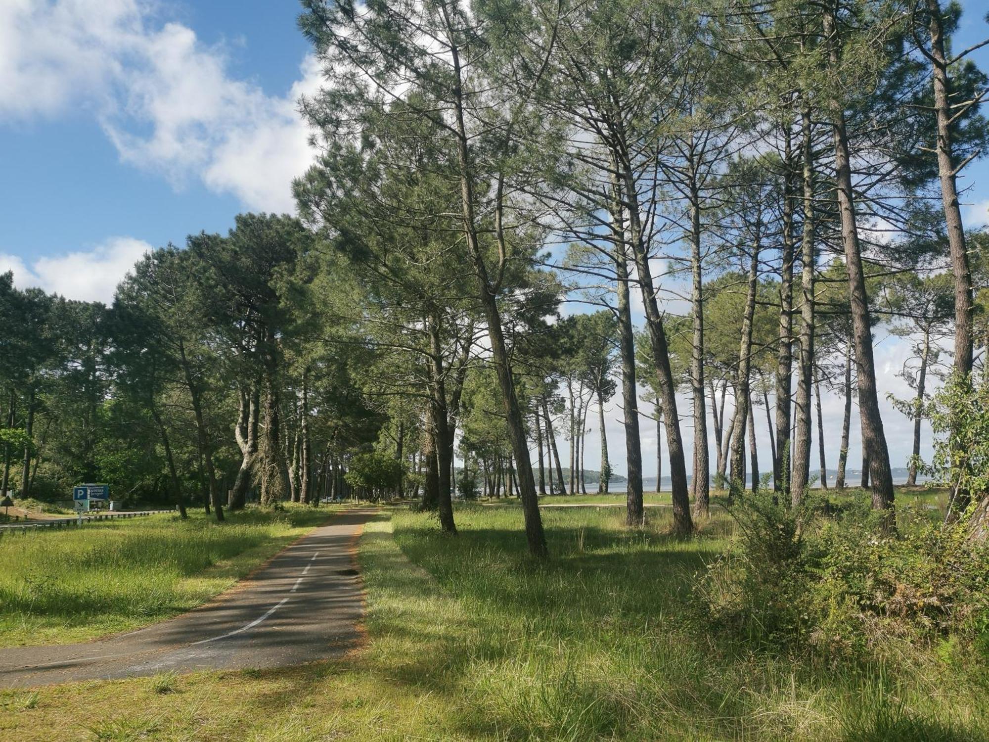 Appartements Au Coeur Du Golf, Proche Du Lac Et Velodyssee Biscarrosse Exteriör bild